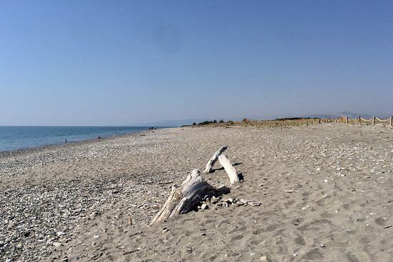 Oasi WWF di Policoro